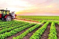 ارائه راهکارهای عملیاتی برای تقویت تاب‌آوری بخش کشاورزی

