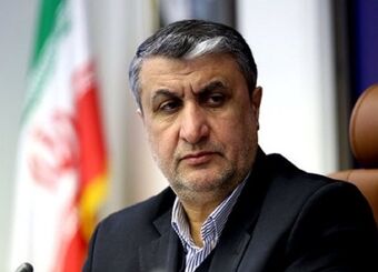 نقش فناوری هسته‌ای در پیشبرد سایر صنایع/ امکان گشایش اقتصادی با پرتودهی محصولات کشاورزی

