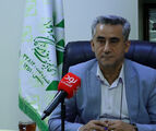 تعدیل نیروی ۲۰ درصدی برخی چاپخانه‌ها در پی گرانی کاغذ