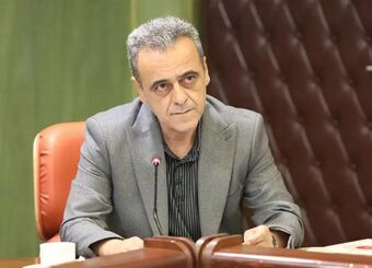 مجوز واردات ۵.۵ میلیون تن نهاده‌های دامی از ستاد تنظیم بازار اخذ شد

