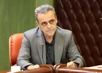 مجوز واردات ۵.۵ میلیون تن نهاده‌های دامی از ستاد تنظیم بازار اخذ شد
