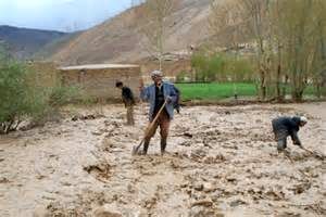 قائم‌مقام صندوق بیمه‌ کشاورزی: به کشاورزان بیمه‌شده غرامت می‌دهیم
