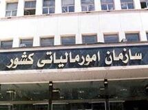 سازمان امور مالیاتی: مؤدیان مالیات مراقب شگردهای جدید اخاذان باشند