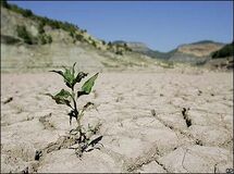 مشاور وزیر نیرو از دستور رئیس‌جمهور برای جلوگیری از جیره‌بندی آب خبر داد