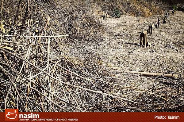 معاون وزیر نیرو: تغییر اقلیم منابع آبی کشور را تهدید می‌کند