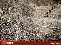 معاون وزیر نیرو: تغییر اقلیم منابع آبی کشور را تهدید می‌کند