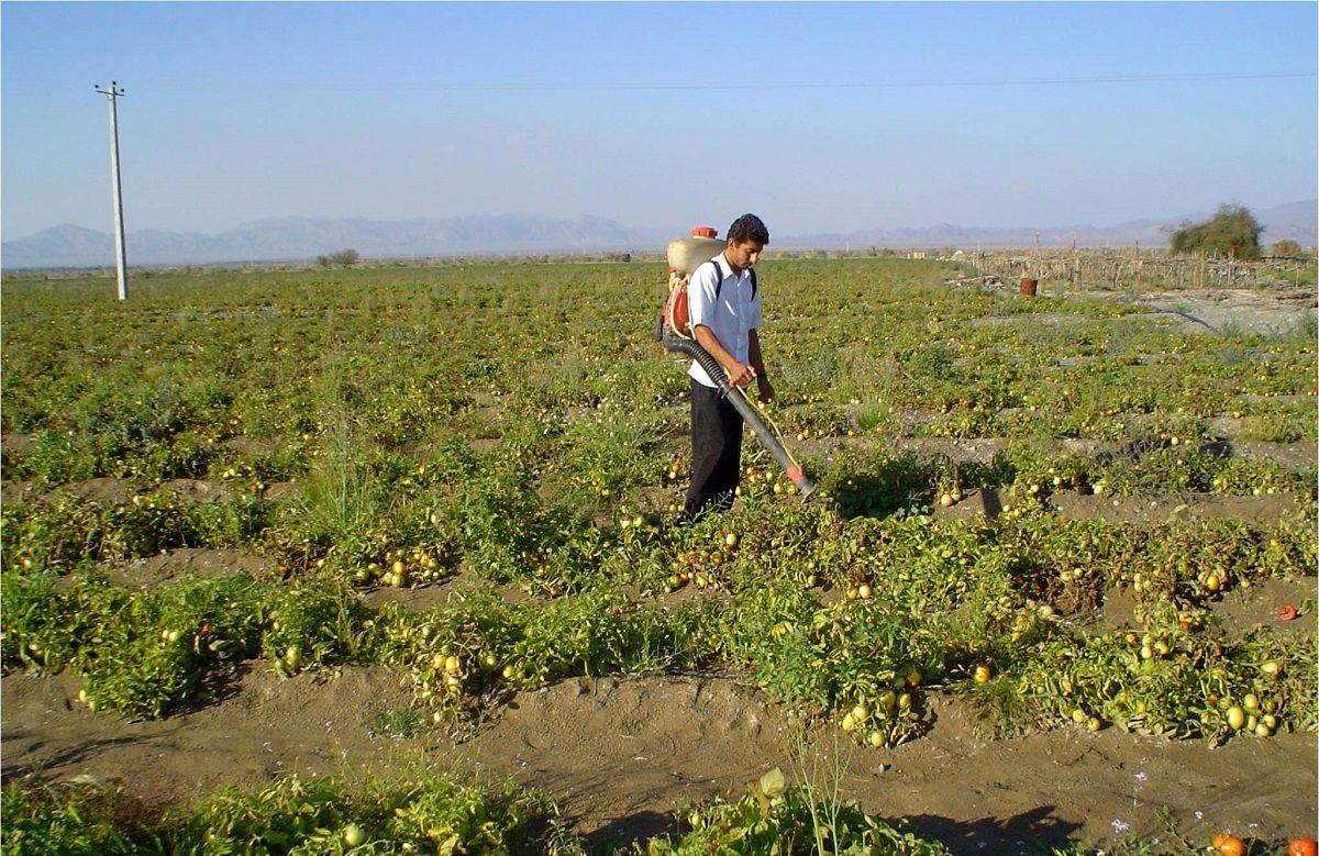 رئیس کمیسیون کشاورزی از صدور کارت سوخت برای کشاورزان درآینده نزدیک خبر داد
