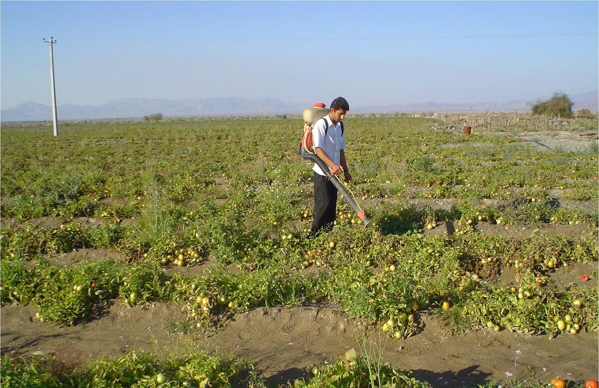 رئیس کمیسیون کشاورزی از صدور کارت سوخت برای کشاورزان درآینده نزدیک خبر داد