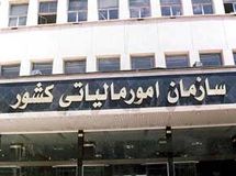 سازمان امور مالیاتی کشور: مودیان مراقب افراد سودجو و فرصتطلب باشند