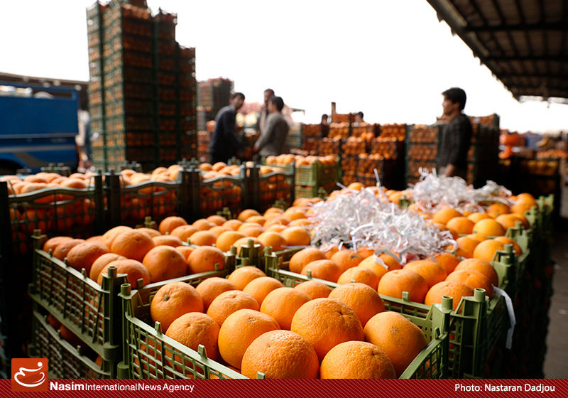بیشتر محصولات تولیدی کشاورزی ایران ارگانیک است