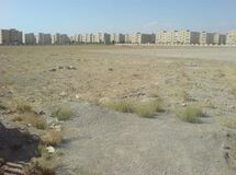 شهرداری باید پاسخگوی ساخت وساز غیر مجاز در بوستان مادر باشد