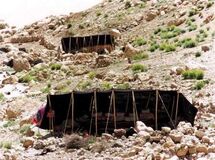 قائم مقام سازمان عشایر: امسال نیمی از برنامه اسکان عشایر محقق می‌شود