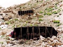 قائم مقام سازمان عشایر: امسال نیمی از برنامه اسکان عشایر محقق می‌شود
