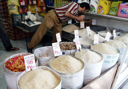 دبیر انجمن برنج: افزایش قیمت‌ برنج در بازار زنجیره‌ای است