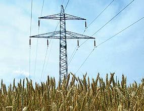 مدیرعامل  توانیر: 16.3 درصد برق کشور در بخش کشاورزی مصرف میشود