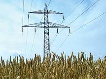 مدیرعامل  توانیر: 16.3 درصد برق کشور در بخش کشاورزی مصرف می‌شود