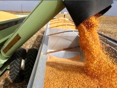 بیش از 64 هزار میلیارد ریال بابت خرید تضمینی گندم به حساب کشاورزان 31 استان واریز شده است