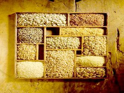 ایران از روسیه غلات وارد می‌کند