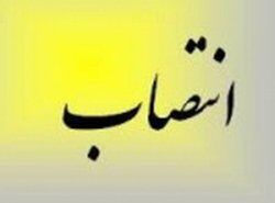مدیرکل راه و شهرسازی البرز تغییر کرد