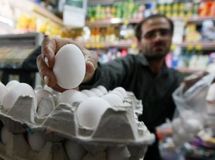 "صادرات تخممرغ به روسیه نیاز به حمایت و پرداخت یارانه دولت دارد"