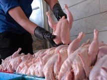 معاون وزیر جهاد: سالیانه حدود 900 هزار تن تخم مرغ در کشور تولید می‌شود