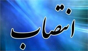 مشاور سیاست‌گذاری و توسعه وزارت کار منصوب شد
