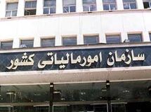 شالیکوبان از پرداخت مالیات بر ارزش افزوده معاف هستند