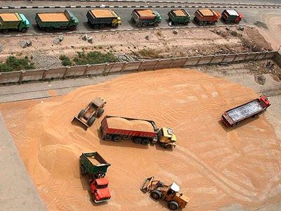 "۱۴ هزار میلیارد تومان برای خرید گندم، جو و ذرت داخلی در سال ۹۴ اختصاص داده شد"