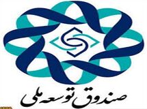 "سهم صندوق توسعه ملی از درآمدهای نفتی در لایحه بودجه سال 94، 20 درصد شده است"