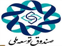 "سهم صندوق توسعه ملی از درآمدهای نفتی در لایحه بودجه سال 94، 20 درصد شده است"