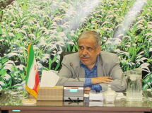 معاون وزیر جهاد: 1200 میلیارد تومان برای آبیاری تحت فشار اختصاص پیدا کرد