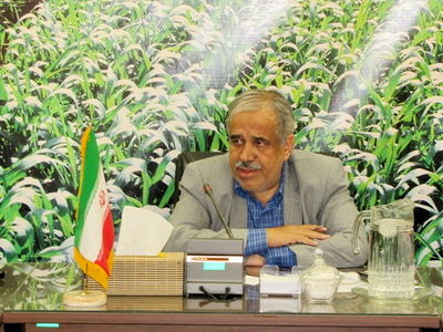 معاون وزیر جهاد: 1200 میلیارد تومان برای آبیاری تحت فشار اختصاص پیدا کرد