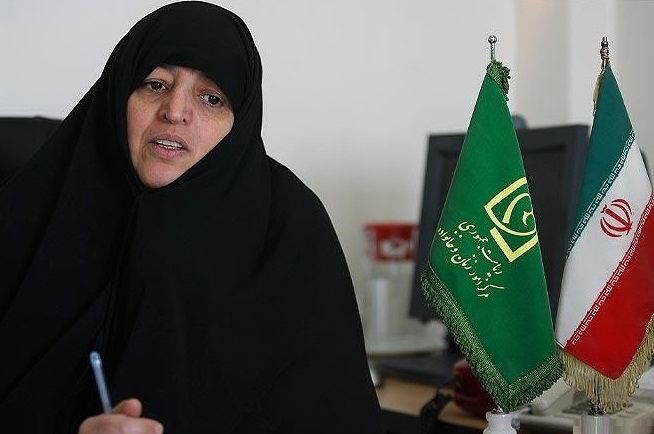 طبیبزاده: وزیر صنعت در آستانه استیضاح قرار دارد