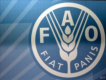 فائو خواستار تقویت تنوع زیستی کشاورزی در ایران شد