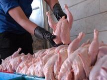 مدیرعامل اتحادیه سراسری مرغداران گوشتی: مازاد تولید گوشت مرغ ماهانه 15 هزار تن است