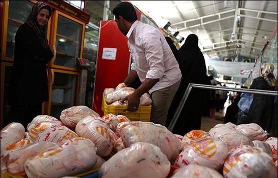 شرکت پشتیبانی امور دام چه نقشی در گرانی مرغ دارد؟