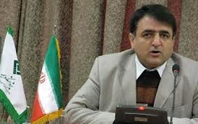 رئیس پژوهشکده بیمه: بروز مشکل در بیمه توسعه به مدیریت قبلی برمیگردد