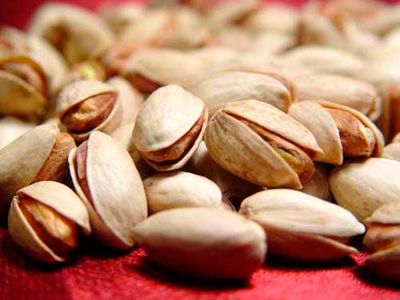 تولید و صادرات پسته رکورد زد