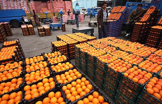 توزیع میوه دولتی به تأخیر افتاد