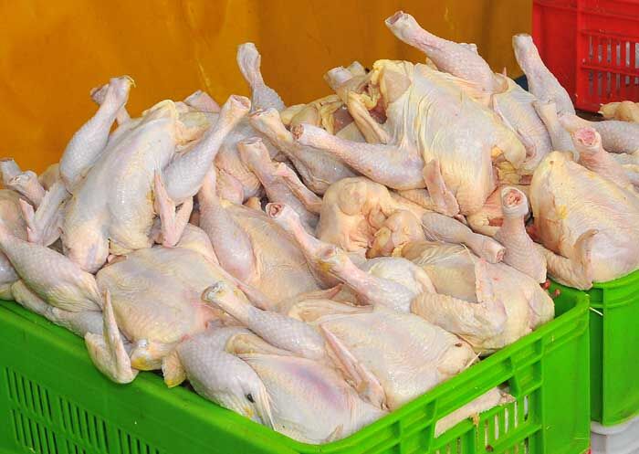 رئیس اتحادیه فروشندگان مرغ و ماهی:  قیمت مرغ از 5800 تومان ارزان‌تر نمی‌شود