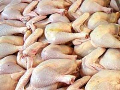رئیس اتحادیه مرغداران گوشتی: مرغ کیلویی 5200 تومان شد