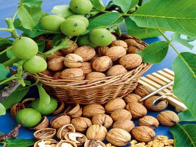 رئیس اتحادیه خشکبار: از این پنج  کشور گردو به ایران قاچاق می‌شود