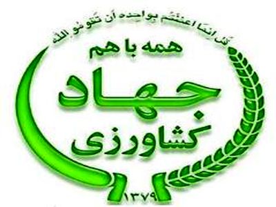 قیمت تضمینی ۹۲۰ تومانی جو ابلاغ شد