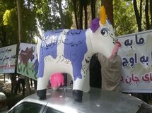 یک دامدار: کمک نمی‌خواهیم؛ دولت قانونی که خودش تصویب کرده  را اجرا کند