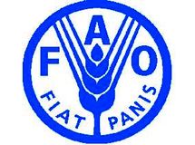 قیمت جهانی مواد غذایی  به پایین‌ترین سطح در شش سال گذشته رسید