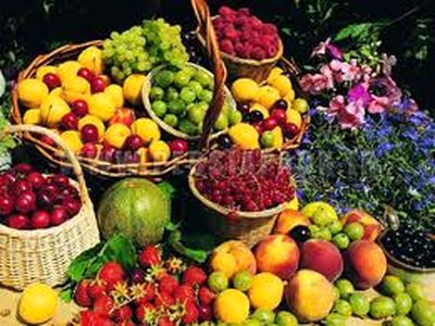 رئیس اتحادیه میوه و تره‌بار: میوه‌های تابستانی ارزان شدند