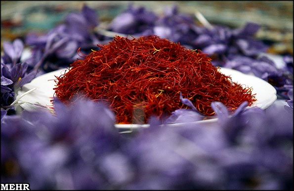 رئیس اتحادیه صادرکنندگان زعفران: روند صعودی قیمت زعفران با کاهش 150 هزار تومانی آن متوقف شد