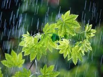 هفته‌ای بدون بارش، بحران را جدی بگیریم