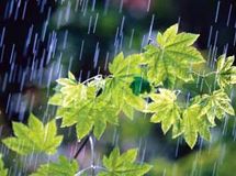 سال آبی با 10 درصد کاهش به پایان رسید؛ میزان بارندگی  197 میلی‌متر