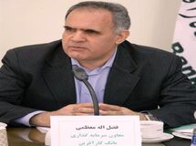 انتقاد یک مدیر بانکی از مجموعه سیف: بانک مرکزی  قانون بانکداری بدون ربا را رعایت نمی‌کند